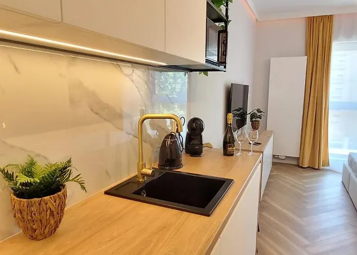 Plac Wolnosci 6 Apartament Poznań